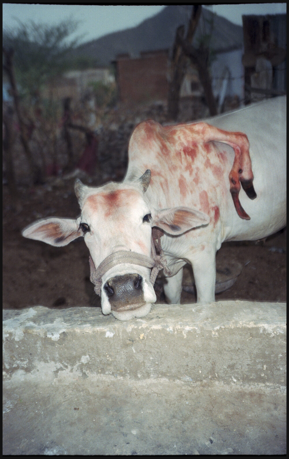 Same same but different